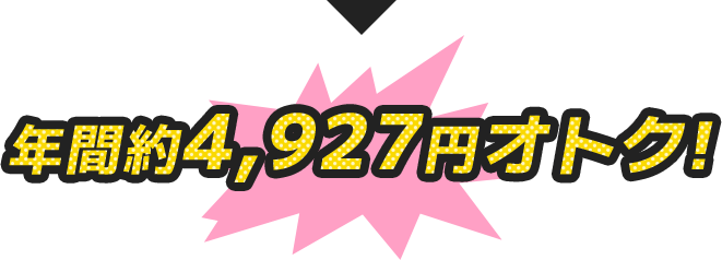 年間約4,927円オトク!